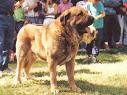20080208124846-images.jpg