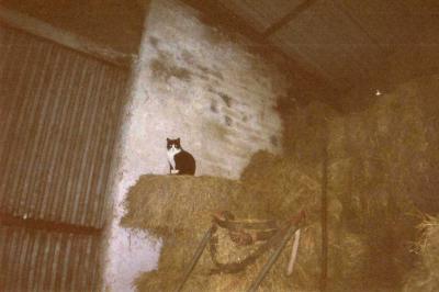 20080208174147-lulila021.jpg