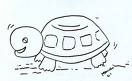 20080208193100-turtle.jpg